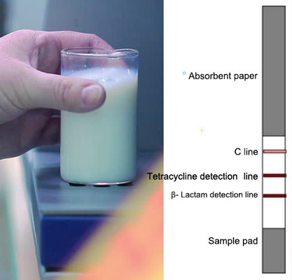 Assay прокладок теста лактама β- молокозавода Tetracyclines+ антибиотический быстрый для лаборатории
