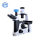 Трубка замечания глаза PD100 3 перевернула биологический микроскоп наклон 30 градусов вращение 360 градусов